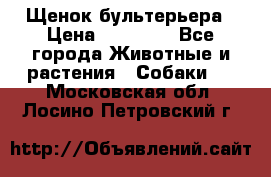 Щенок бультерьера › Цена ­ 35 000 - Все города Животные и растения » Собаки   . Московская обл.,Лосино-Петровский г.
